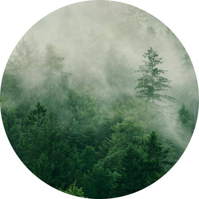 Yangzhou Sxiang Medical Instrument Co., Ltd.